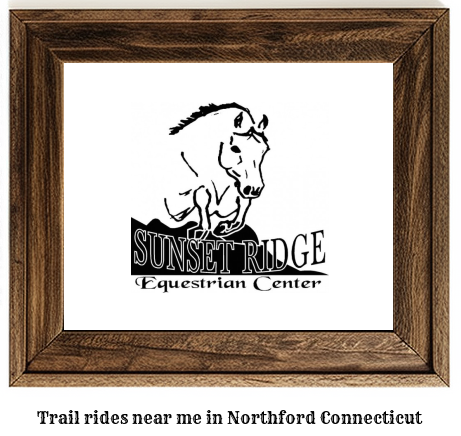 trail rides near me in Northford, Connecticut